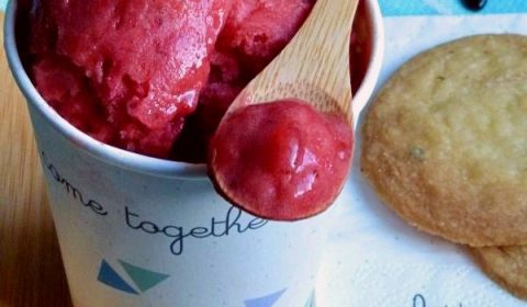 la version sorbet de l'alliance fraise rhubarbe