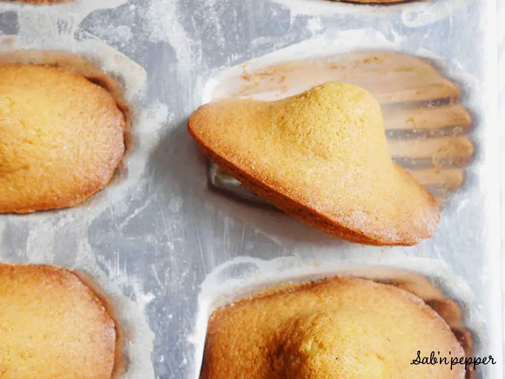 Madeleines à la pistache : faciles et savoureuses