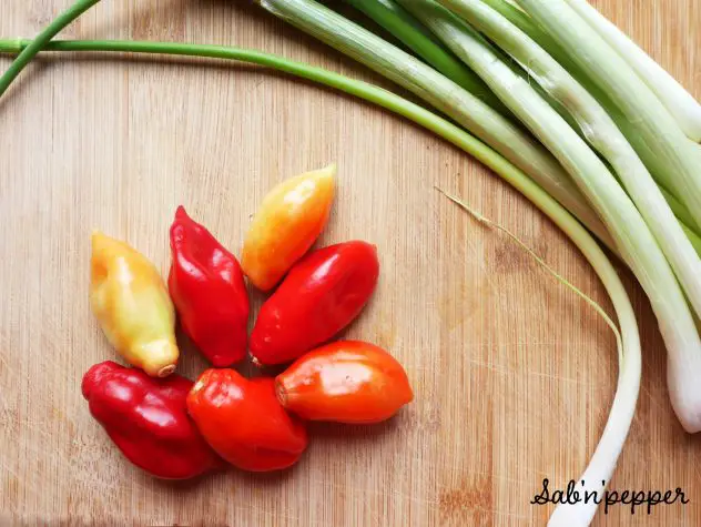 Piment végétarien : le piment qui ne pique pas. Un classique de la cuisine antillaise