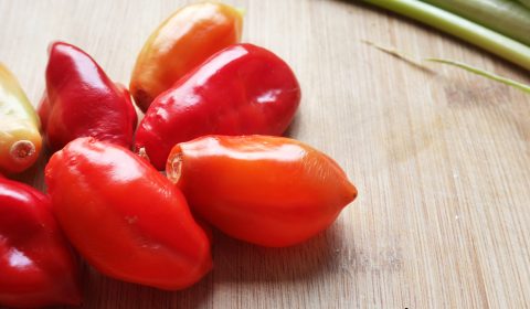 Le piment végétarien : ne pique pas