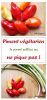 Piment végétarien : le piment créole qui ne pique pas
